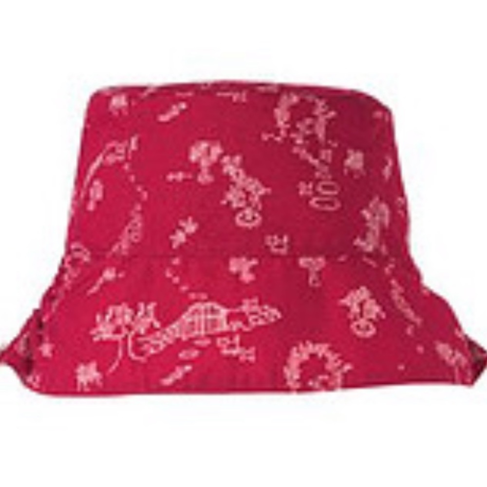 Gymboree 06 Sitting Pretty reversible hat NWT
